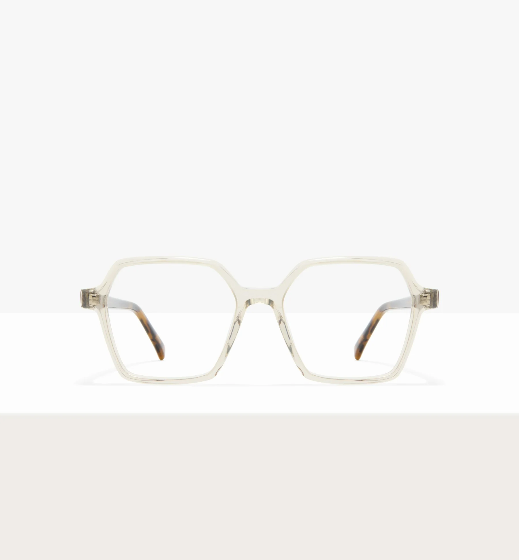 Dalia - Image 7