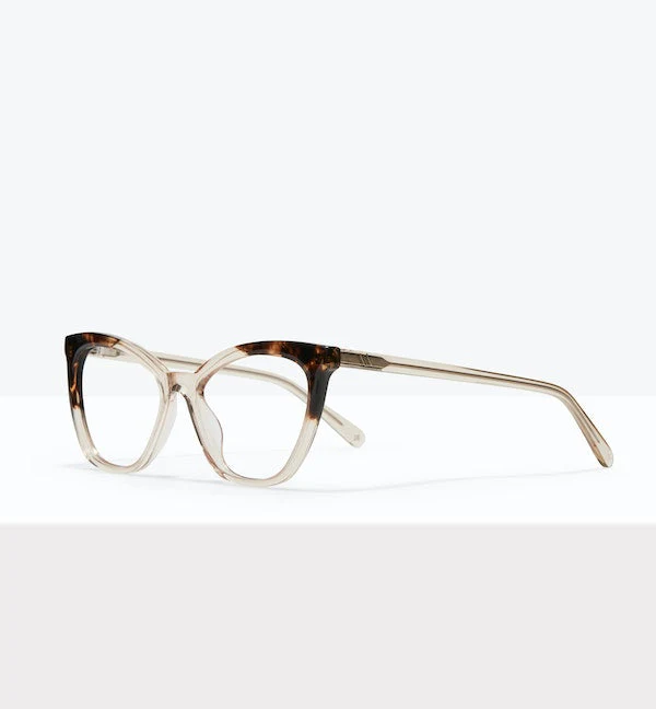 Elan - Image 10