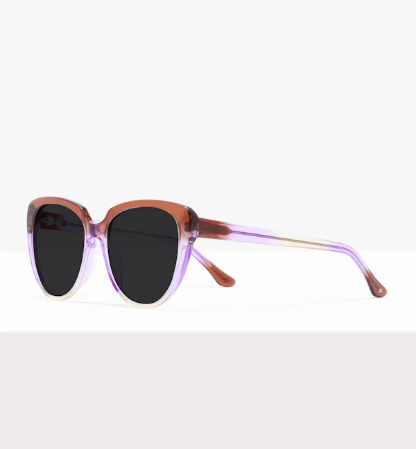 Everything - Image 6