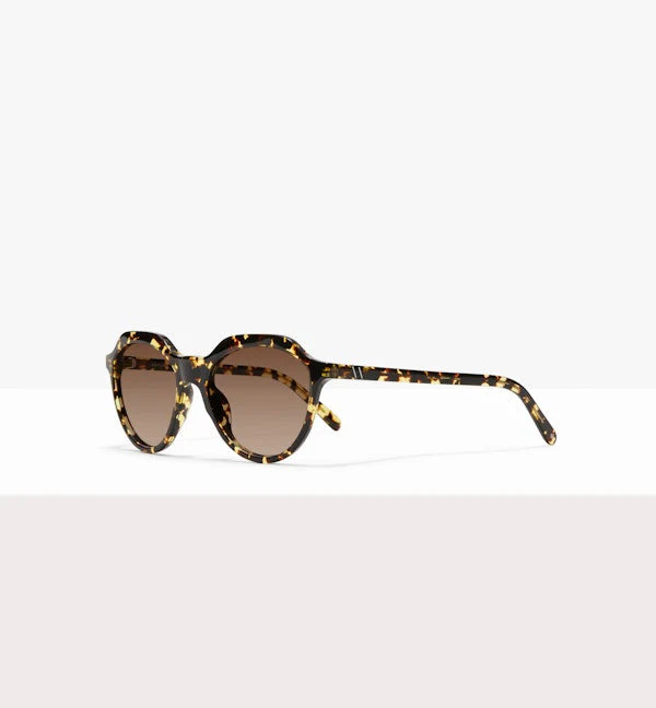 Jetsetter - Image 6