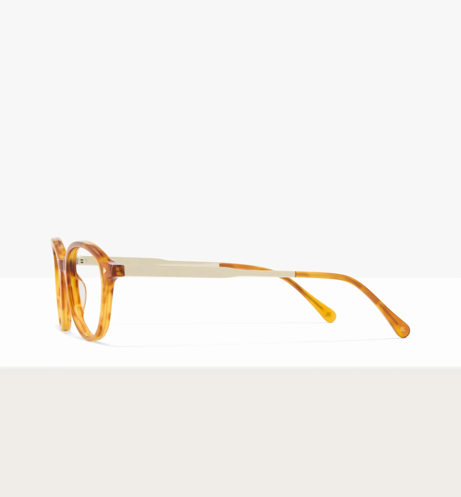 Maranta - Image 13