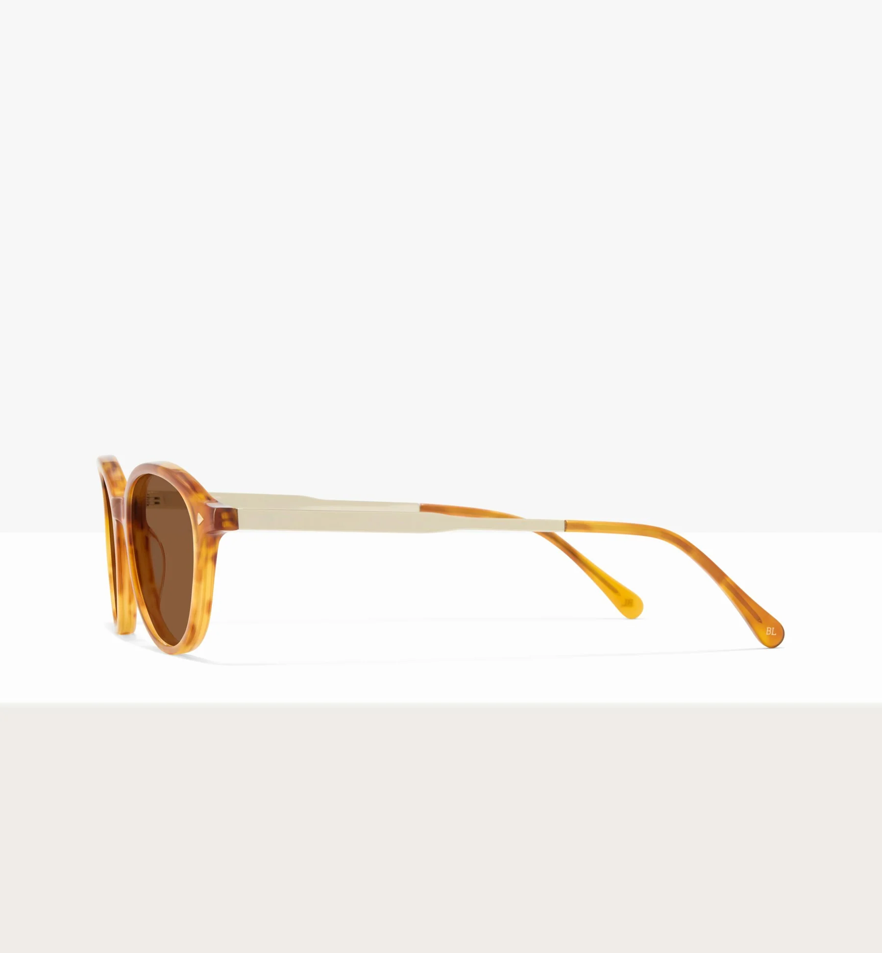 Maranta - Image 12