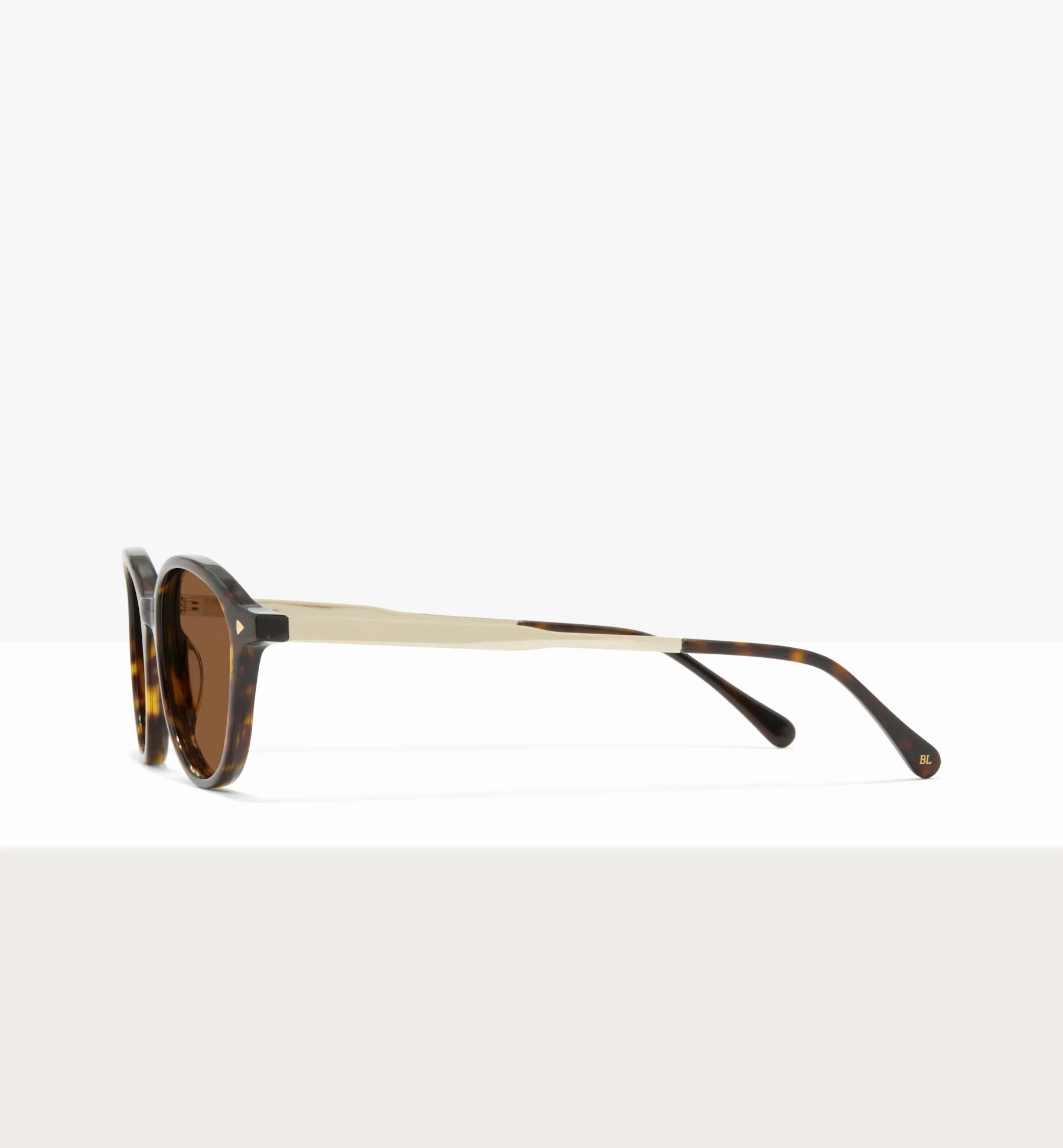 Maranta - Image 6