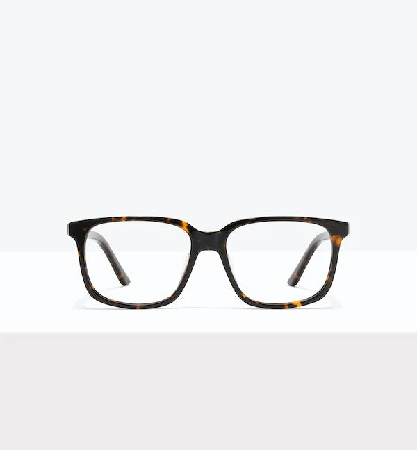 Max - Image 10