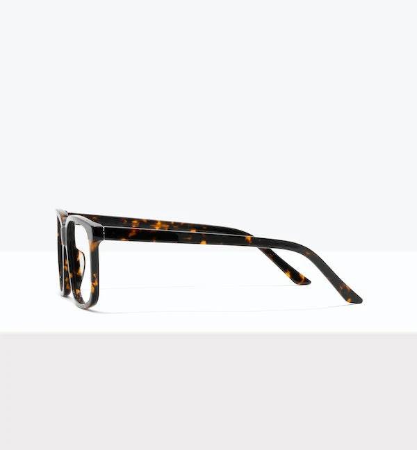 Max - Image 11