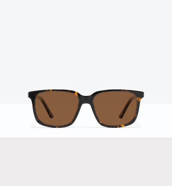 Max - Image 10
