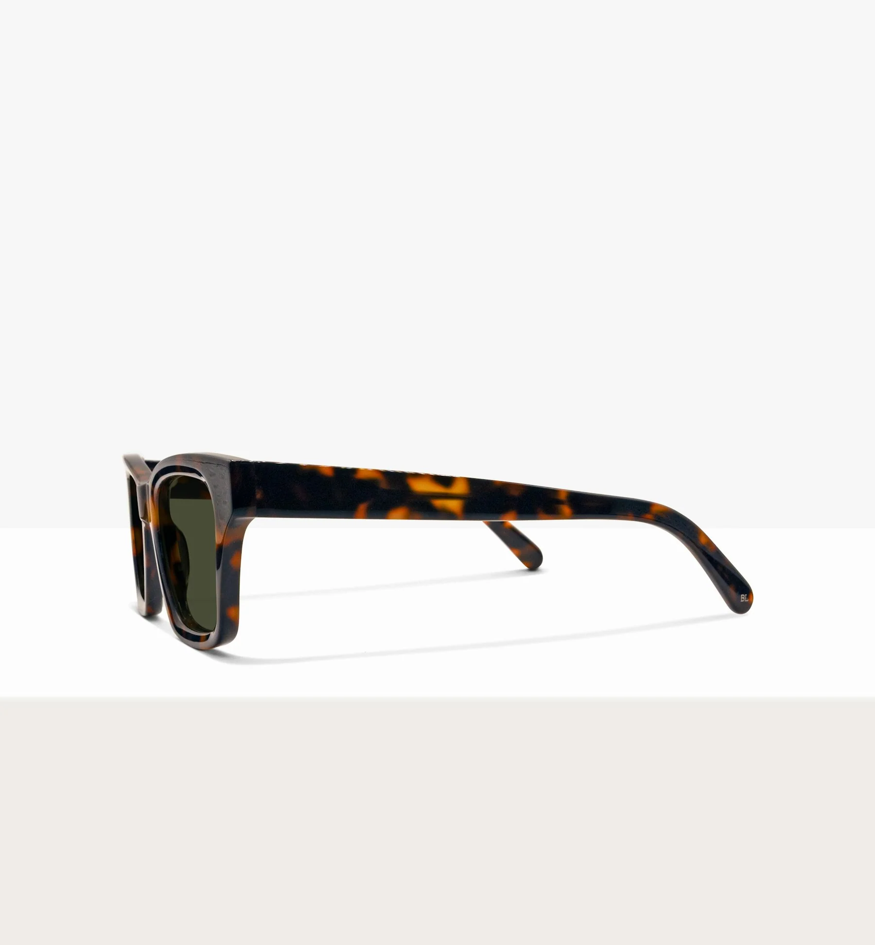 Rocco - Image 4