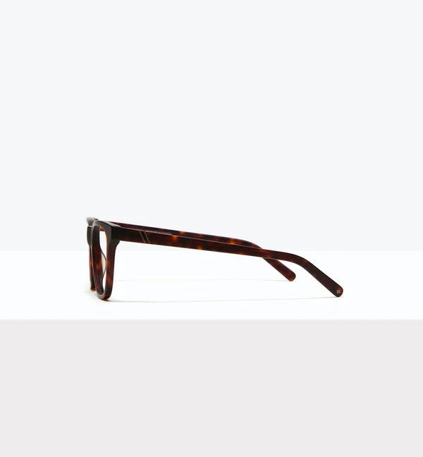 Solo - Image 3